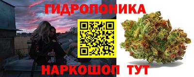 прущая мука Будённовск