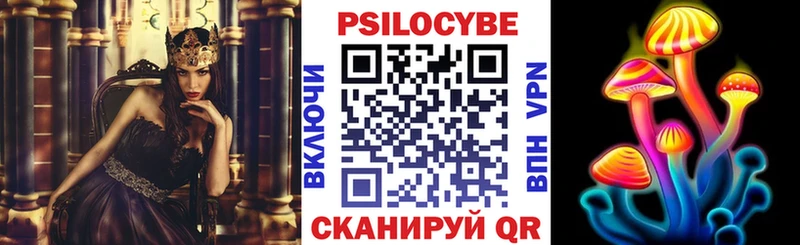Псилоцибиновые грибы GOLDEN TEACHER  сколько стоит  Гудермес 