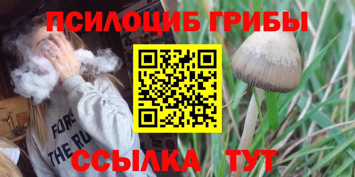Гудермес  Псилоцибиновые грибы Cubensis  Вход с VPN  Галлюциногенные грибы мухоморы 