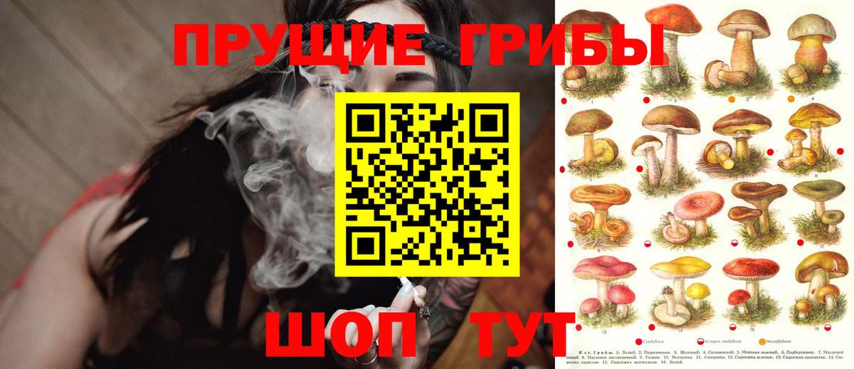 Галлюциногенные грибы GOLDEN TEACHER Гудермес