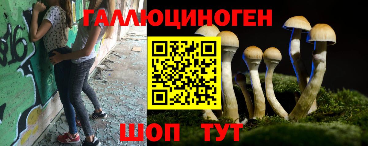 Псилоцибиновые грибы мухоморы  Гудермес  Галлюциногенные грибы мицелий 